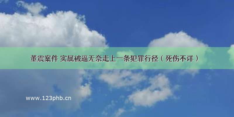 董震案件 实属被逼无奈走上一条犯罪行径（死伤不详）