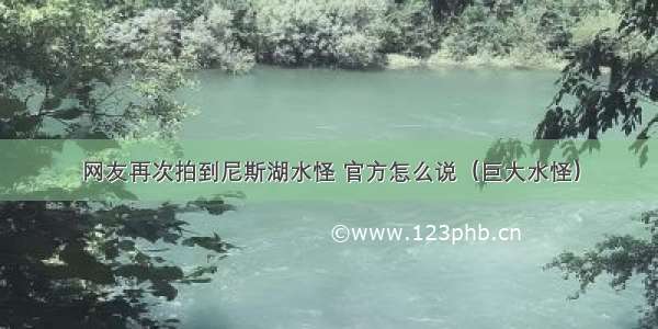 网友再次拍到尼斯湖水怪 官方怎么说（巨大水怪）