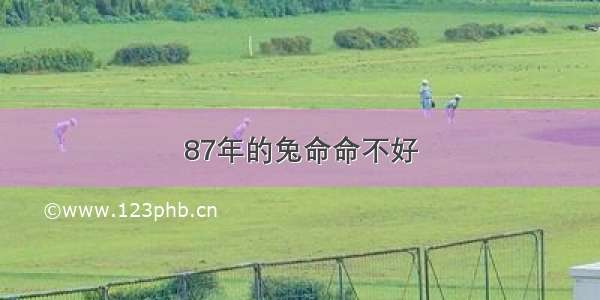 87年的兔命命不好