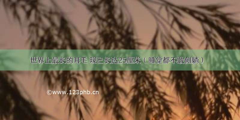 世界上最长的耳毛 现已长达25厘米（睡觉都不敢侧躺）