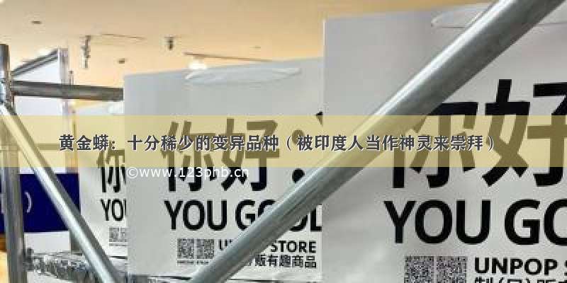 黄金蟒：十分稀少的变异品种（被印度人当作神灵来崇拜）