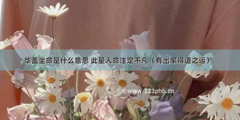 华盖坐命是什么意思 此星入命注定不凡（有出家得道之运）