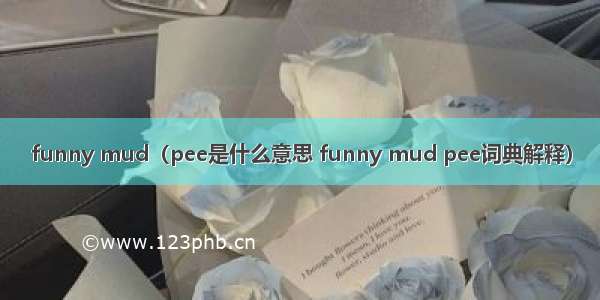 funny mud（pee是什么意思 funny mud pee词典解释）