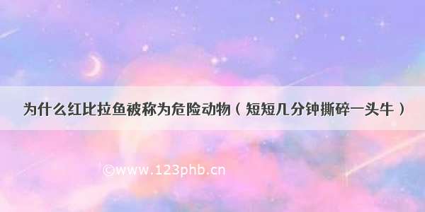 为什么红比拉鱼被称为危险动物（短短几分钟撕碎一头牛）