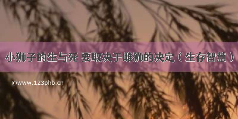 小狮子的生与死 要取决于雌狮的决定（生存智慧）