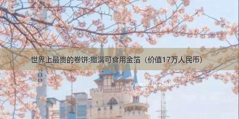 世界上最贵的卷饼:撒满可食用金箔（价值17万人民币）