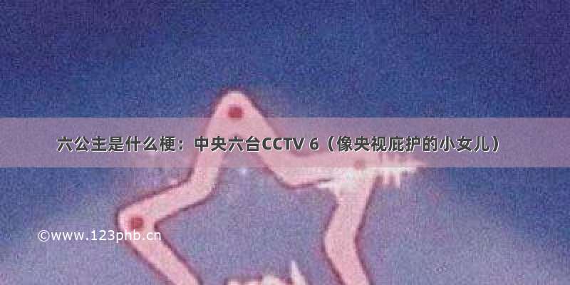 六公主是什么梗：中央六台CCTV 6（像央视庇护的小女儿）