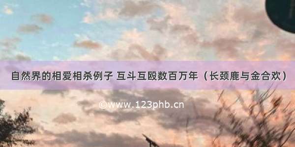 自然界的相爱相杀例子 互斗互殴数百万年（长颈鹿与金合欢）