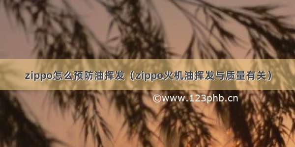 zippo怎么预防油挥发（zippo火机油挥发与质量有关）