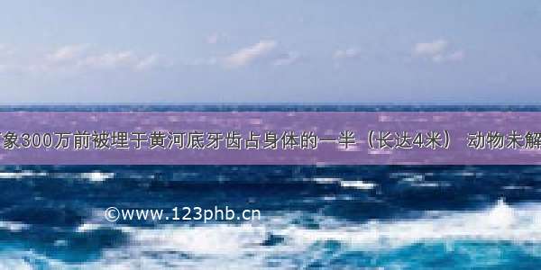 黄河象300万前被埋于黄河底牙齿占身体的一半（长达4米） 动物未解之谜