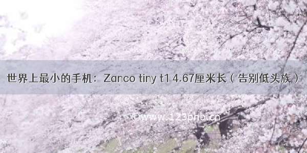 世界上最小的手机：Zanco tiny t1 4.67厘米长（告别低头族）