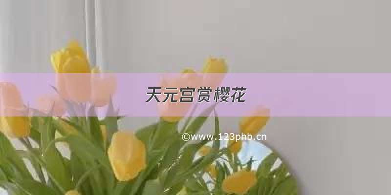 天元宫赏樱花