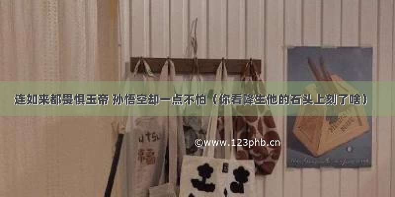 连如来都畏惧玉帝 孙悟空却一点不怕（你看降生他的石头上刻了啥）