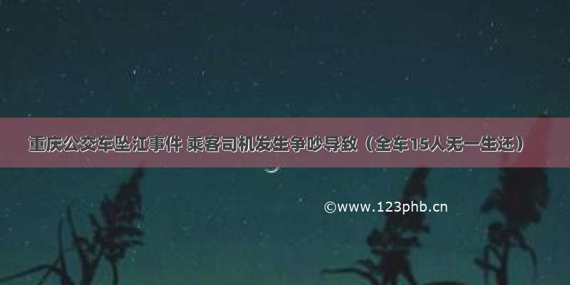 重庆公交车坠江事件 乘客司机发生争吵导致（全车15人无一生还）