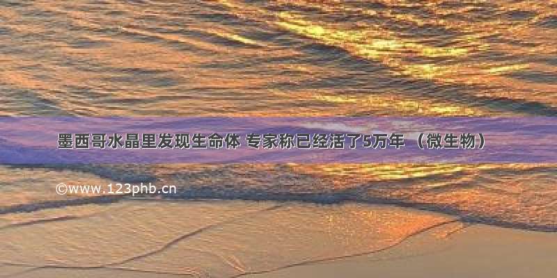 墨西哥水晶里发现生命体 专家称已经活了5万年 （微生物）