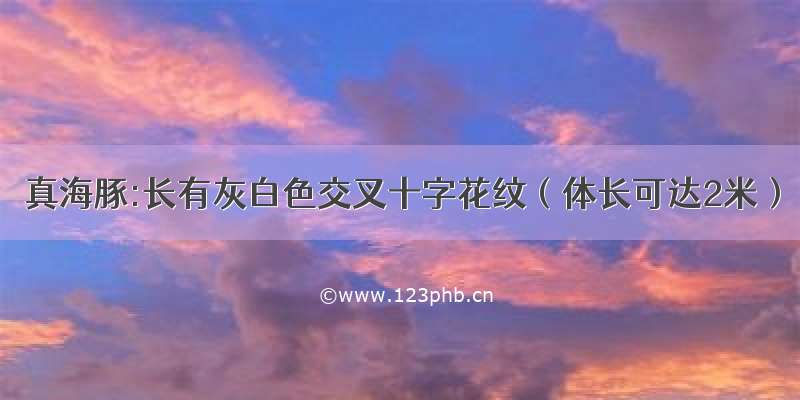 真海豚:长有灰白色交叉十字花纹（体长可达2米）