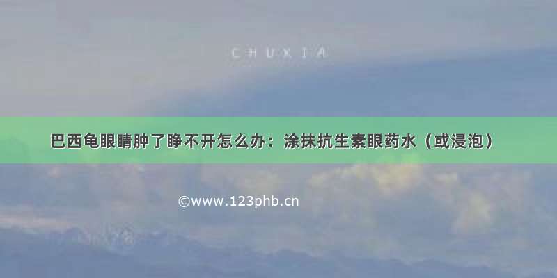 巴西龟眼睛肿了睁不开怎么办：涂抹抗生素眼药水（或浸泡）