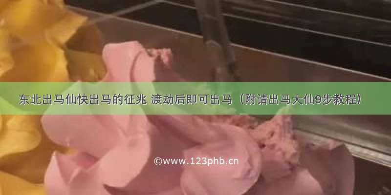 东北出马仙快出马的征兆 渡劫后即可出马（附请出马大仙9步教程）