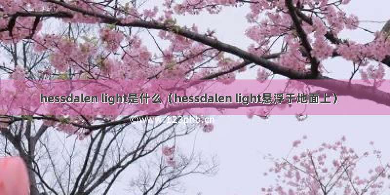 hessdalen light是什么（hessdalen light悬浮于地面上）