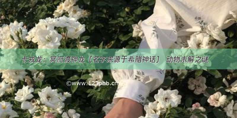 卡戎龙：冥府渡神龙（名字来源于希腊神话） 动物未解之谜