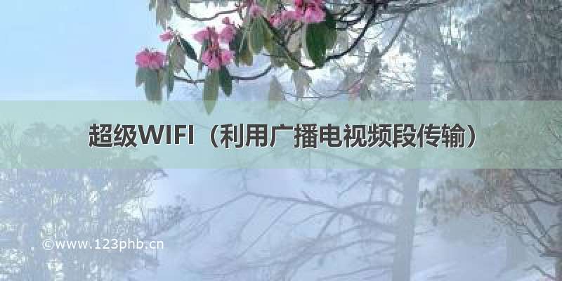 超级WIFI（利用广播电视频段传输）