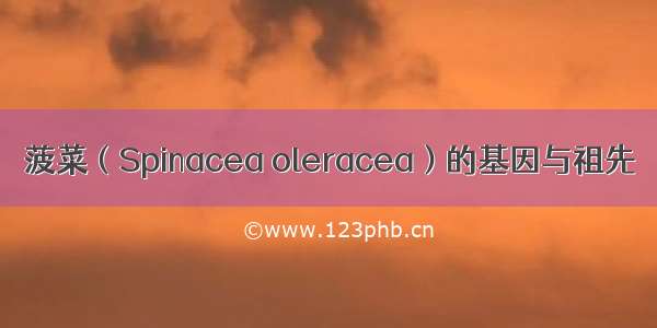 菠菜（Spinacea oleracea）的基因与祖先