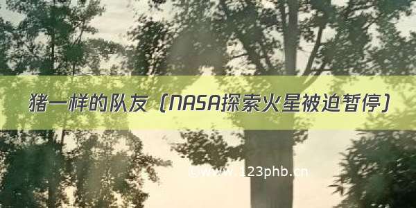 猪一样的队友（NASA探索火星被迫暂停）