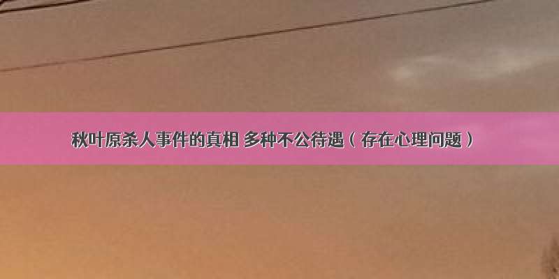 秋叶原杀人事件的真相 多种不公待遇（存在心理问题）