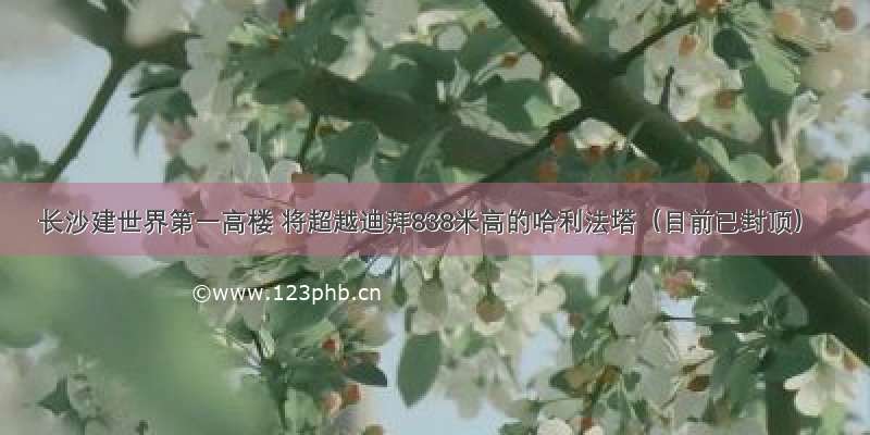 长沙建世界第一高楼 将超越迪拜838米高的哈利法塔（目前已封顶）