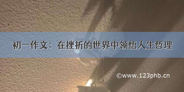 初一作文：在挫折的世界中领悟人生哲理