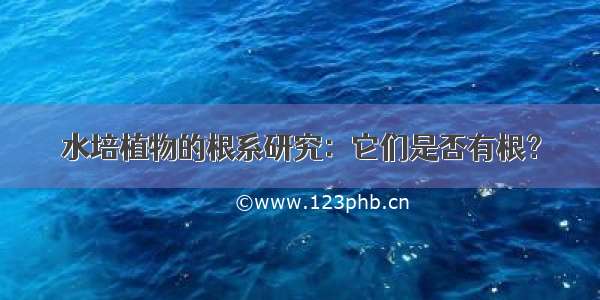 水培植物的根系研究：它们是否有根？