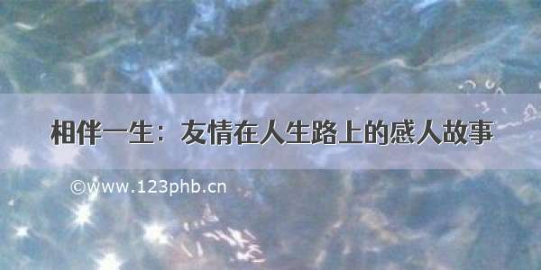 相伴一生：友情在人生路上的感人故事