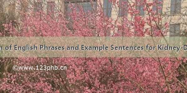 Comprehensive Compilation of English Phrases and Example Sentences for Kidney-Deficiency Syndrome (肾虚症)