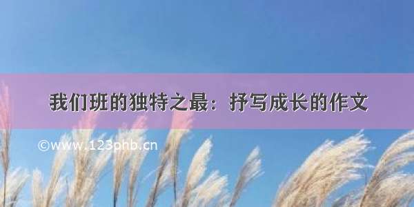 我们班的独特之最：抒写成长的作文