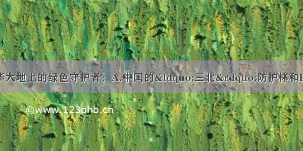 探索中华大地上的绿色守护者：A.中国的“三北”防护林和B.东北林