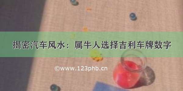 揭密汽车风水：属牛人选择吉利车牌数字