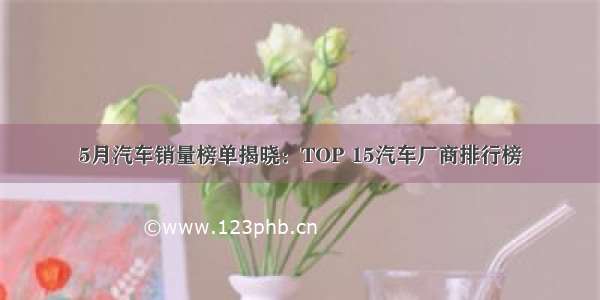 5月汽车销量榜单揭晓：TOP 15汽车厂商排行榜