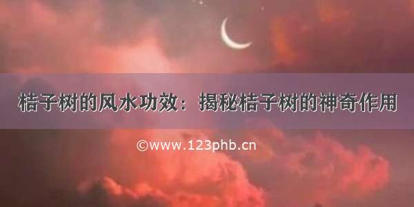 桔子树的风水功效：揭秘桔子树的神奇作用